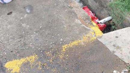 வேடசந்தூர்: யூசுப்நகரில் இருசக்கர வாகனத்தில் வந்த முதியவரும், மூதாட்டியும் சாக்கடையில் விழுந்து விபத்து