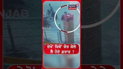 ਦੇਖੋਂ ਕਿਵੇਂ ਚੋਰ ਕੇਲੇ ਲੈ ਹੋਏ ਫ਼ਰਾਰ ? | #shorts | N18S