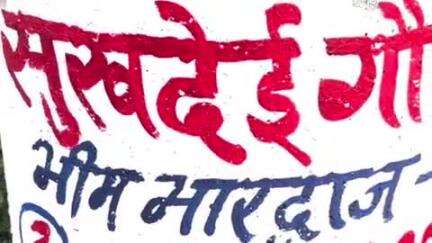पलवल: पलवल में गौरक्षकों ने गोवंश व अन्य जानवरों के लिए पानी के कुंड रखवाए