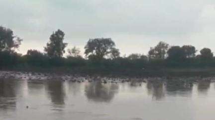 भोकरदन: कुंभारी,बरंजळा,सोयगाव दे.परिसरात जोरदार पाऊस, शेतशिवारात पाणीच पाणी, रहदारी बंद, जनजीवन विस्कळीत