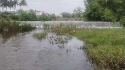 कोरेगाव: जरंडेश्वर शुगर मिल्सने तीळगंगा नदीत पाणी सोडले नाही; पाणी दुषित होण्याचा प्रश्नच नाही, कुमठे येथील शेतकऱ्यांचा दावा