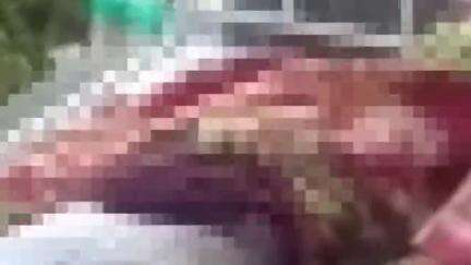रतलाम नगर: नायरा पेट्रोल पंप के पास बस की टक्कर में घायल व्यक्ति की रतलाम में मौत, शव परिजनों को सौंपा