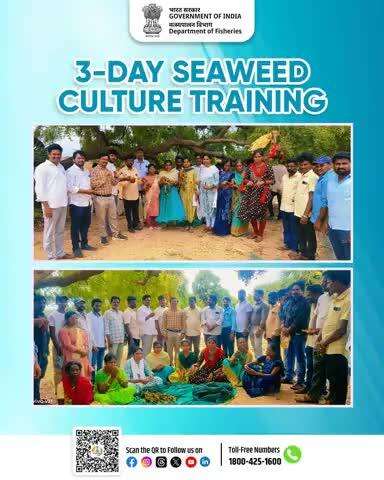 Successfully completed a 3-day Seaweed Culture Training Programme at SPSR Nellore District, Andhra Pradesh.
Strengthening knowledge and skills for sustainable seaweed farming.