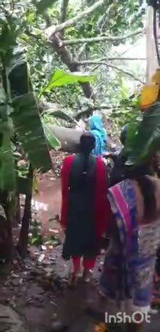 കുട്ടനാട്: വീയപുരം നന്നങ്കേരി ഭാഗത്ത് വീടിന് മുകളിൽ മരങ്ങൾ വീണ് മേൽക്കൂര തകർന്നു, ഗൃഹനാഥന് പരിക്ക്