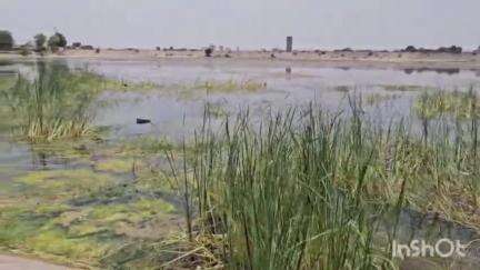 રાપર: રાપર શહેરના લોકો અશુદ્ધ પાણી પીવા મજબૂર
,પૂર્વ ધારાસભ્યએ રાજ્યના મુખ્યમંત્રીને કરી રજૂઆત