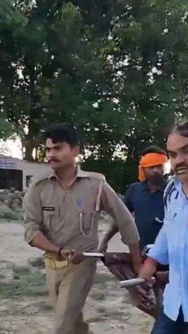 मोहनलालगंज: अचलीखेड़ा गाँव के शारदा नहर में 6 दुर्लभ डॉल्फ़िनों को सुरक्षित रूप से घाघरा नदी में पुनः स्थापित किया गया