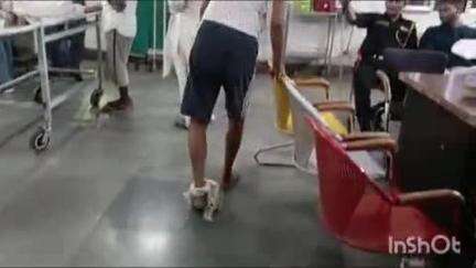कोल: देहलीगेट में सड़क पर टहल रहे युवक को कीड़े ने काटा, सांप के काटने की आशंका में युवक अस्पताल पहुंचा