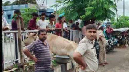 सरैयाहाट: सरैयाहाट/हंसडीहा में न्यायालय के आदेश पर सीओ ने पुलिस के सहयोग से अवैध कब्जा वाला मकान खाली कराया