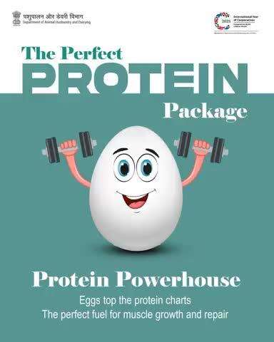 Eggs: Nature’s Perfect Protein Package!

Eggs are your go-to source — rich in high-quality protein that ranks at the top of the charts. Make them a part of your daily diet for stronger, healthier living!