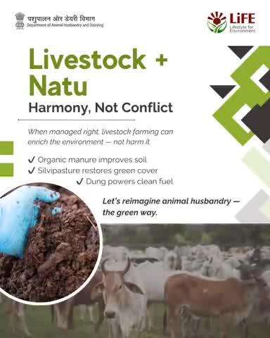 Livestock and nature can thrive together — when managed sustainably, animal husbandry enriches the environment through organic manure, silvipasture, and clean fuel from dung.
#WorldEnvironmentDay #MissionLife #EndPlasticPollution