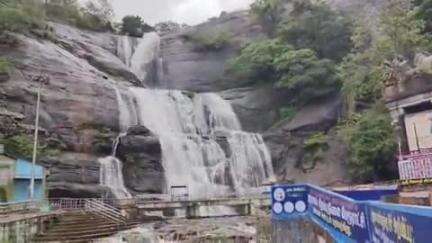தென்காசி: கோவில் கொடை விழாவிற்கு குற்றால தீர்த்தம் எடுப்பதற்கு தடை பக்தர்கள் வேதனை# localissue