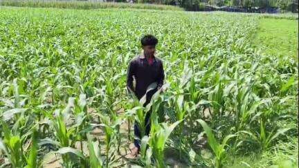ইসলামপুর: ইসলামপুর থানার সোনাখোদা বাইপাস এলাকায় ভুট্টার জমি থেকে সুটকেস থেকে উদ্ধার অজ্ঞাত পরিচয় ব্যক্তির মৃতদেহ