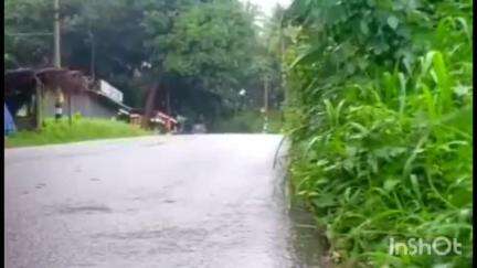 പെരിന്തല്‍മണ്ണ: മണ്ണാർ മലയിൽ വീണ്ടും പുലിയിറങ്ങിയത് നാട്ടുകാരിൽ ആശങ്ക വർദ്ധിപ്പിക്കുന്നു #localissue