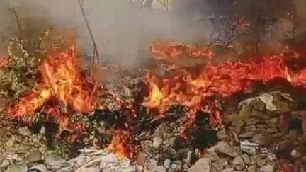 यावल: यावल येथील शेतकी संघाच्या आवारात अचानक लागली आ स्टार फिटनेस जिम च्या महिला, डान्स क्लबच्या मुलांना श्वास घेण्यास अडचण