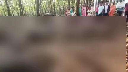 बगीचा: चौकी पण्ड्रापाठ के ग्राम नावापारा में आकाशीय गाज गिरने से 5 भैंसों की मौत