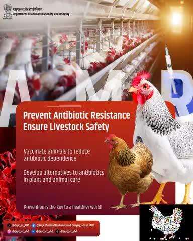 AMR: Vaccinating animals reduces antibiotic use and boosts livestock health. Let’s promote alternatives to antibiotics in plant and animal care. Prevention, not overmedication, is the key to a healthier world.
#VaccinateToPrevent #AMR