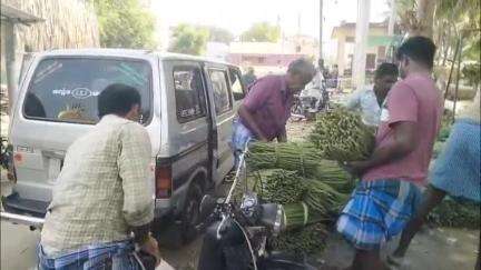 குஜிலியம்பாறை: கூம்பூர் சந்தையில் முருங்கை விலை உயர்வு, விவசாயிகள் மகிழ்ச்சி