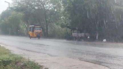 காளையார்கோவில்: திடீர் மழை – அல்லூர் அருகே ஆலமரம் சாய்ந்து போக்குவரத்து, மின்சாரம் பாதிப்பு