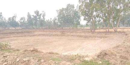 अमरिया: मनरेगा में रोजगार सेवक लगा रहे मजदूरों की फर्जी हाजिरी, जिम्मेदार बने अज्ञात