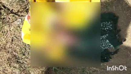 આણંદ શહેર: વલાસણ નજીક ખેતરની વાડ પાસેથી મળી આવેલ નવજાત શિશુ સંદર્ભે પોલીસે 10 સીસીટીવી કેમેરા અને હોસ્પિટલમાં તપાસ હાથ ધરી