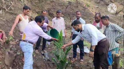 বিলোনিয়া: শিবপুর এডিসি ভিলেজ এলাকায় কৃষি দপ্তর উদ্যোগে  বেনিফিসিয়ারীদের মধ্যে পাম গাছের চারা বিতরণ  করেন