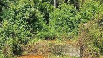 ചെങ്ങന്നൂർ: പാണ്ടനാട് പഞ്ചായത്തിലെ കുത്തിയതോട് പ്രാഥമിക ഉപ കേന്ദ്രം പ്രവർത്തനം നിലച്ചിട്ട് നാലുവർഷം, ജനങ്ങൾ ദുരിതത്തിൽ #localissue