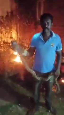 నగరి: పుత్తూరు జెండా మాను వీధిలో కొండచిలువ హల్చల్