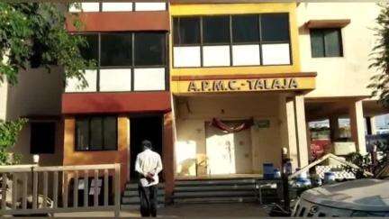 તળાજા: તળાજા માર્કેટ યાર્ડમાં નવી સિંગ નો ભાવ આજે અલગ અલગ રહ્યો