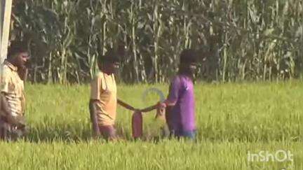 গঙ্গারামপুর: গঙ্গারামপুরের অনন্তপুর সীমান্তে বিএসএফ ও বাংলাদেশের বর্ডার গার্ডের হাতে দু'দেশের নাগরিক আটক, পতাকা বৈঠকে সমাধান