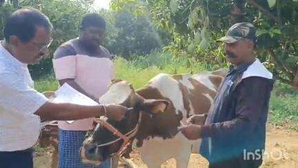 ಕೋಲಾರ: ಜಾನುವಾರಗಳಿಗೆ ತಪ್ಪದೇ ಕಾಲುಬಾಯಿ, ಚರ್ಮಗಂಟು ರೋಗ ಲಸಿಕೆ ಹಾಕಿಸಿ: ತೊರದೇವಂಡಹಳ್ಳಿಯಲ್ಲಿ ಪಶು ಇಲಾಖೆ  ಉಪನಿರ್ದೇಶಕ ರಮೇಶ್