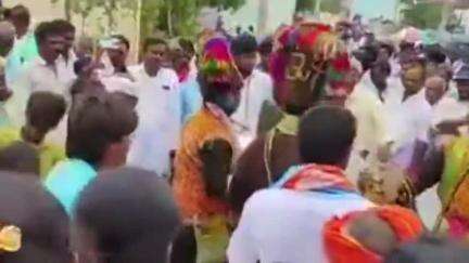 ఎమ్మిగనూరు: ఎమ్మిగనూరు : గోనెగండ్ల మండలం అల్వాలలో ఘనంగా బీర లింగేశ్వర స్వామి విగ్రహ ప్రతిష్టాపన..