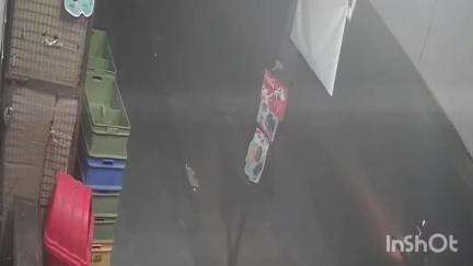 प्रतापगढ़: पीपलखूंट के मुख्य बाजार में डेयरी पर चोरी, CCTV में कैद हुई वारदात, पुलिस में दर्ज कराया मामला