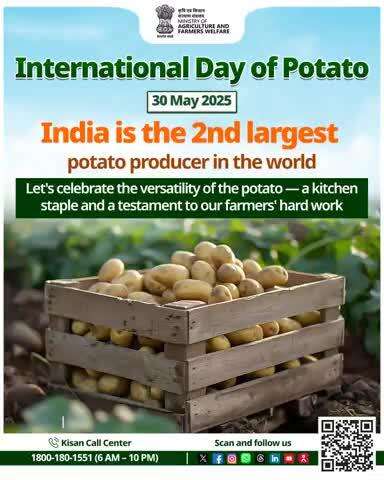 Celebrating #InternationalDayOfPotato – a kitchen staple and a tribute to our farmers' tireless dedication!
