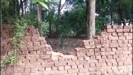 କେନ୍ଦୁଝର ସହର: ପାଟଣା ରେଞ୍ଜ ବିଭିନ୍ନ ସ୍ଥାନରେ ହାତୀ ପଲ ଭାଙ୍ଗିଲେ ପାଚେରୀ ଘର ଭିତରୁ ଖାଇ ଗଲେ ଧାନ ଚାଉଳ