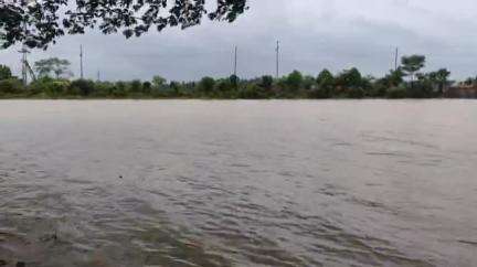 বিশালগড়: প্রবল বর্ষণে রাউৎখলা এলাকায় জলের নিচে কয়েক শত কানি কৃষি জমি, আতঙ্কে মানুষ