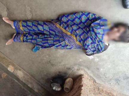 तालबेहट: तालबेहट कोतवाली क्षेत्र के ग्राम मऊ में अज्ञात कारणों के चलते एक महिला ने फांसी लगाकर की आत्महत्या