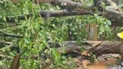 കൊല്ലം: ജില്ലയില്‍ ഓറഞ്ച് അലര്‍ട്ട്, കനത്ത മഴയിലും കാറ്റിലും നാശനഷ്ടങ്ങള്‍ തുടരുന്നു