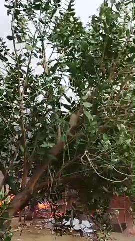 सरोजनी नगर: कृष्णा नगर क्षेत्र में झुग्गी झोपड़ियों में लगी आग, मौके पर पहुंची फायर विभाग की टीम
