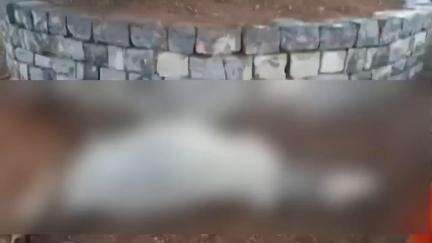 कवर्धा: ग्राम पिपरटोला में आसमान से गिरी बिजली से एक किसान के तीन मवेशियों की मौत