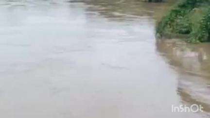കോഴഞ്ചേരി: ജില്ലയിൽ ശക്​തമായ മഴ തുടരുന്നു, താഴ്ന്ന സ്ഥലങ്ങളിൽ വെള്ളം കയറി