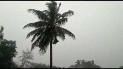 నల్లమాడ మండల వ్యాప్తంగా భారీ వర్షం, పంటల సాగుకు అనుకూలంగా మారిందని అన్నదాతల హర్షం