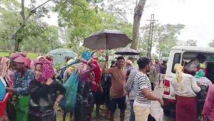 ঢেকিয়াজুলি ভাগ: শিঙৰী চাহ বাগিচাত সংঘটিত হ’ল ভয়ংকৰ দুৰ্ঘটনা, গছ বাগৰি আঘাতপ্ৰাপ্ত মহিলা