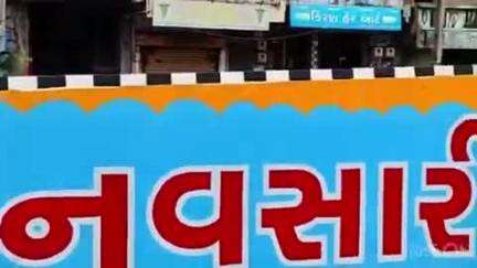 નવસારી: મહાપાલિકા વિસ્તારમાં રેલવે બ્રિજની દીવાલોની કાયાપલટ કરાઈ, ઐતિહાસિક દ્રશ્યો કંડારાયા
