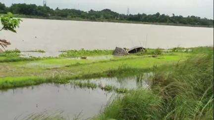 নবদ্বীপ: ফরেষ্টডাঙ্গা এলাকায় ভাগীরথী নদী থেকে উদ্ধার বৃদ্ধের পচাগলা দেহ,ময়নাতদন্তের জন্য দেহ শক্তিনগর মর্গে পাঠাল পুলিশ