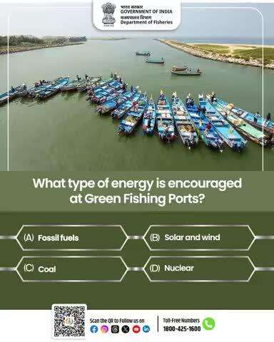 Quiz Time. 
Green Fishing Ports are the future of sustainable seas but do you know what kind of energy powers them?