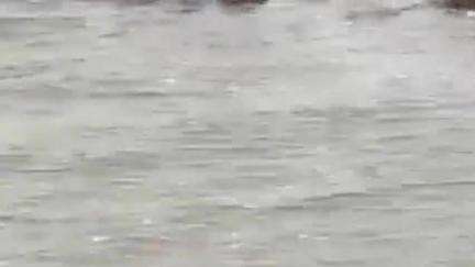 भूम: शहरालगत असणाऱ्या बानगंगा तलावात आढळला अज्ञात महिलेचा मृतदेह