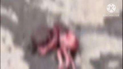 कुचामन सिटी: राजकीय जिला चिकित्सालय के पीछे मिला नवजात का भ्रूण, इलाके में मची सनसनी, पुलिस कर रही जांच