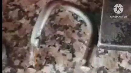 सीकर: सीकर के दुर्गा मंदिर में चोरी, सोने का लॉकेट, ₹80 हजार कैश व सीसीटीवी डीवीआर भी चुराया गया