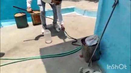 अनूपपुर: नाग के आने से मचा हड़कंप, सर्प प्रहरी ने दिखाई फुर्ती, सुरक्षित रेस्क्यू कर दिलाई राहत!