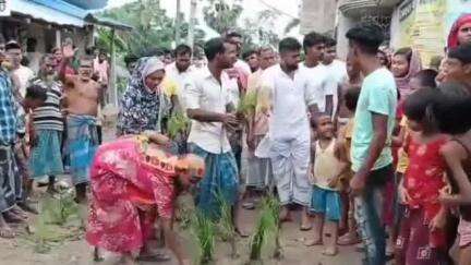 বসিরহাট ২: দেবীপুর এলাকায় রাস্তার সংস্কার এর দাবিতে রাস্তায় ধান গাছ পুঁতে বিক্ষোভ দেখালেন এলাকার মানুষজন #jansamasya